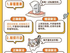 -Bastet sally猫舍购宠(静安店)