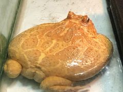 -上海大自然野生昆虫馆