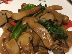 -若蘭慈·无国界素食料理(欢乐海岸店)