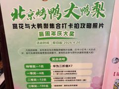 -大鸭梨烤鸭(北洼路店)