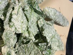 -周姑娘不等味·牛羊肉火锅·螃蟹罗氏虾·烤鱼烤串(高邮店)