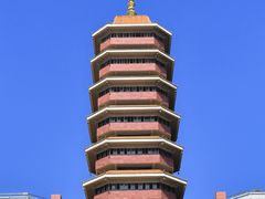 -三水森林公园