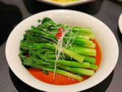 -茶人村(上海店)