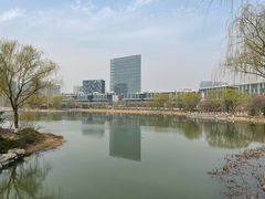-大兴滨河森林公园