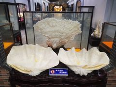-游龙石文化科普馆