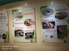 -上海昆虫博物馆