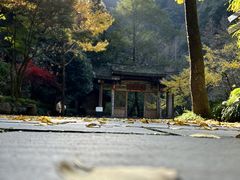 -刘伯温故里景区百丈漈