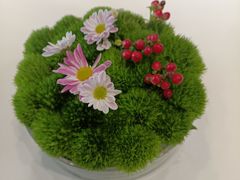 -眉州东坡(民族园店)