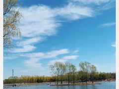 -大兴滨河森林公园