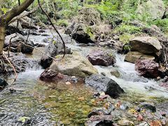 -云岫谷游猎自然风景区