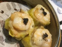 -糖朝(尖沙咀店)