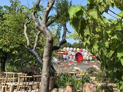 -一品烧农庄·佛山本地特色菜