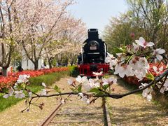 -新天地活力PARK