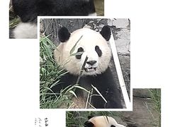 -北京动物园