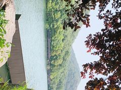 -白马涧龙池景区