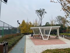 -成都高新创新角度网球俱乐部
