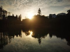 -四海公园(南山区)