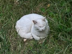 -宫事颐庭·老佛爷贵寿下午茶(颐和园店)