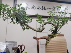 -翟韵茶咖棋牌