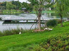 -后襄河公园