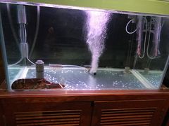 -茹丝葵牛排餐厅(尖沙咀中心店)