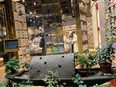 -猫的天空之城概念书店(杭州南宋御街店)