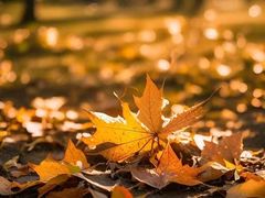 -杭州上天竺法喜讲寺