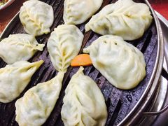 -小叶大馅饺子城