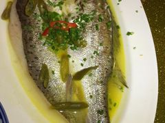 -扬州狮子楼·非遗淮扬菜(总店)
