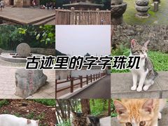 -四门塔风景区