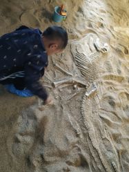 -恐龙探索乐园(磁器口店)