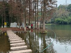 -重庆彩云湖湿地公园