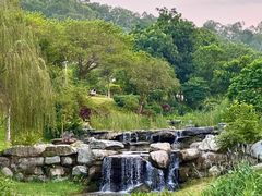 -东莞植物园