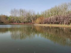 -仁和公园(顺义区)