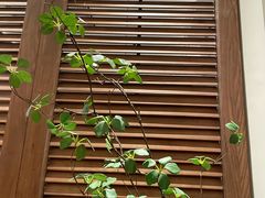 景观位-前海沿·青岛菜(乐客城店)