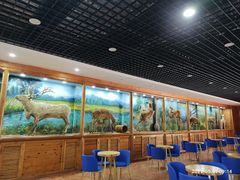 -北京鹿世界主题园