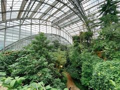 -南山植物园