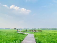 -永定河休闲森林公园