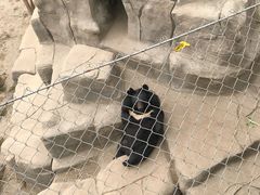 -石家庄市动物园