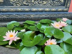 -古大圣慈寺