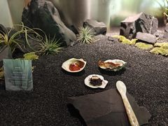 -曲廊院(东四十一条店)