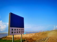 -南汇新城海滩