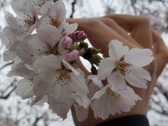 -龙美术馆(西岸馆)