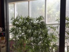 -金成潮菜博物馆(海珠湿地店)