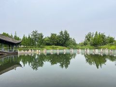 -眉山湿地公园(东坡区)