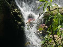 -华蓥山天意谷景区