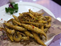 -新疆巴州金丝特餐厅(大钟寺店)