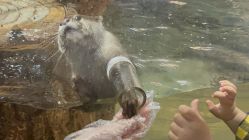 -Zoolung Zoolung动物主题公园(海信广场店)