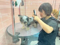 -FAELING PETS美天灵宠物(合生汇店)