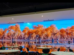-丝路有约·优雅新疆菜(万宴城店)